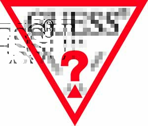 16297Guess