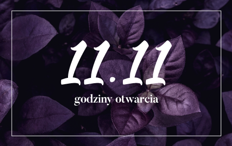 Godziny otwarcia 11.11