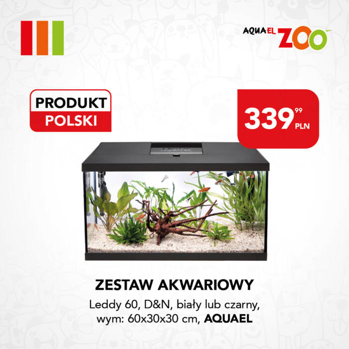 Zestaw akwariowy Aquael Leddy 60 w promocji w Aquael ZOO