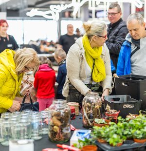 wydarzenie sadzenie roślinek w outlet park szczecin