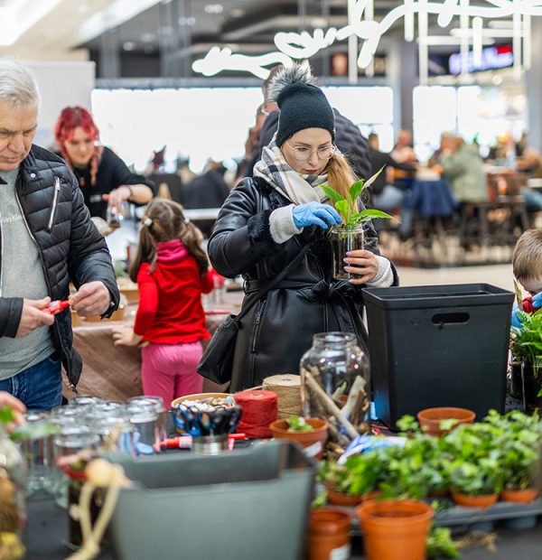 wydarzenie sadzenie roślinek w outlet park szczecin