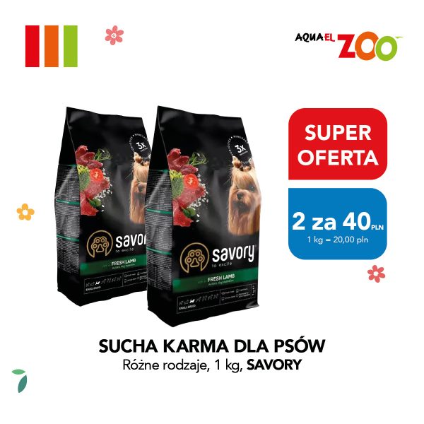 Dwie paczki suchej karmy dla psów marki Savory z jagnięciną, obok czerwony napis SUPER OFERTA i niebieski box z ceną 2 za 40 PLN.