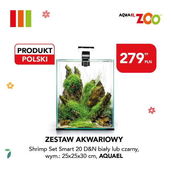 Zestaw akwariowy AQUAEL Shrimp Set Smart 20 D&N z ceną 279,99 PLN, widoczne krewetki i rośliny wodne. Oznaczenie 'Produkt Polski'.