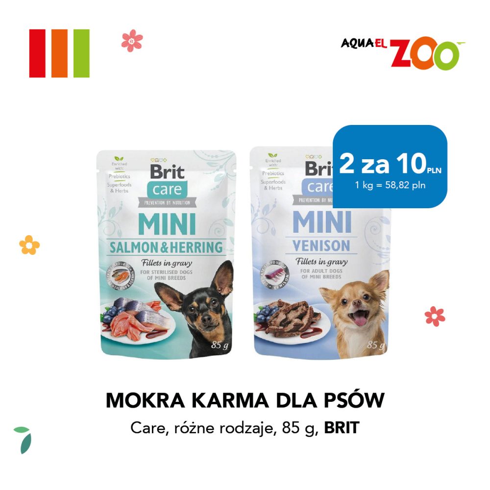 Dwie saszetki mokrej karmy Brit Care Mini dla psów, obok nich małe psy. Na niebieskim tle napis '2 za 10 PLN'.