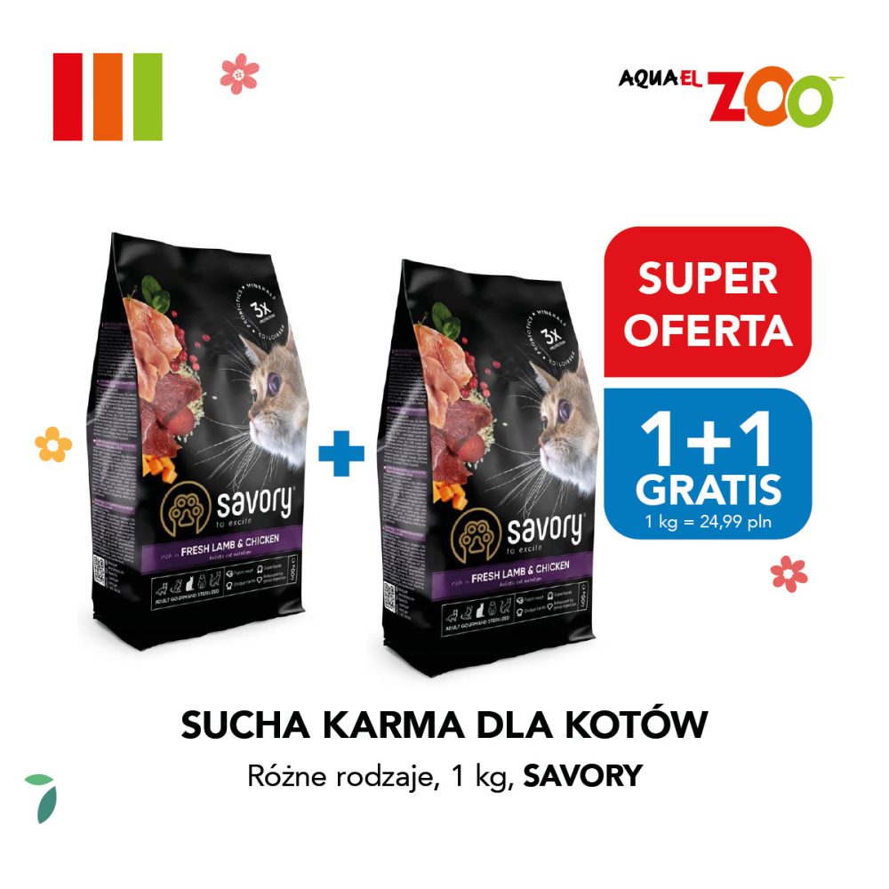 Dwa opakowania suchej karmy dla kotów Savory 1 kg z napisem 1+1 GRATIS i Super Oferta. Logo Aquael Zoo.