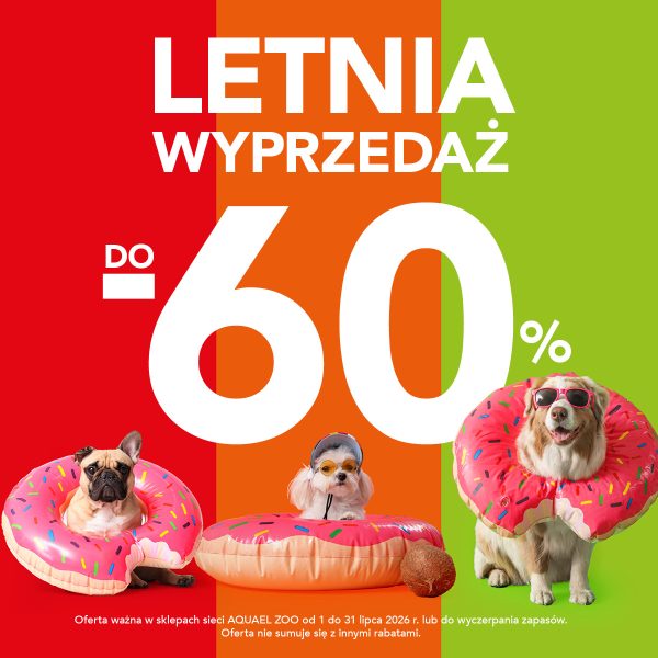 Trzy psy w okularach przeciwsłonecznych i dmuchanych kołach w kształcie pączków, na tle czerwono-pomarańczowo-zielonym, z napisem 'LETNIA WYPRZEDAŻ DO 60%'
