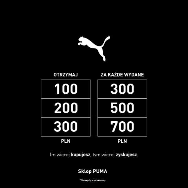 Grafika promocyjna sklepu Puma z logo marki i tabelą przedstawiającą warunki promocji: Otrzymaj 100 zł za wydane 300 zł, 200 zł za 500 zł, 300 zł za 700 zł.